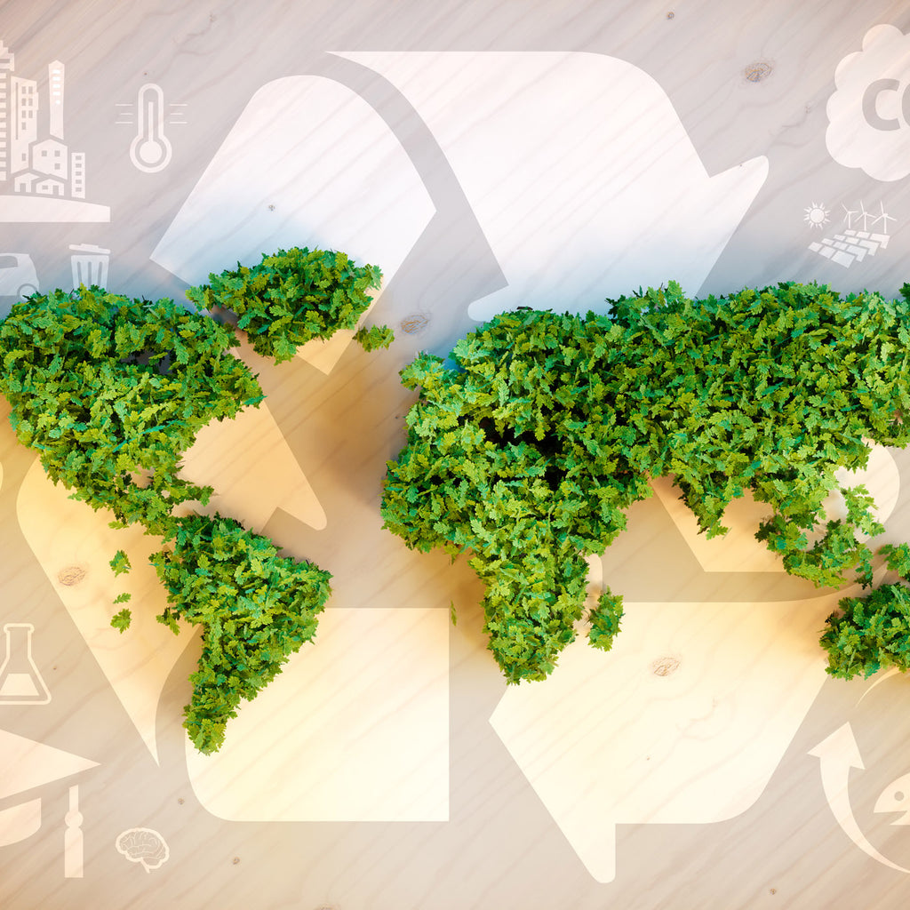 What We Are Doing To Help The Environment